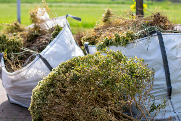 Basement Cleanout Services in Siesta Shores, TX